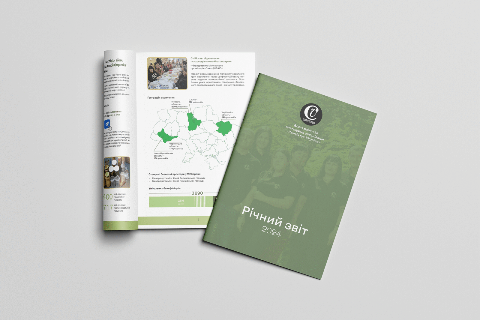 Річний звіт 2024